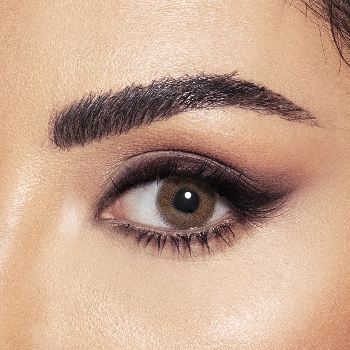 Amara Monthly Colored Contact Lenses - Desert Rose