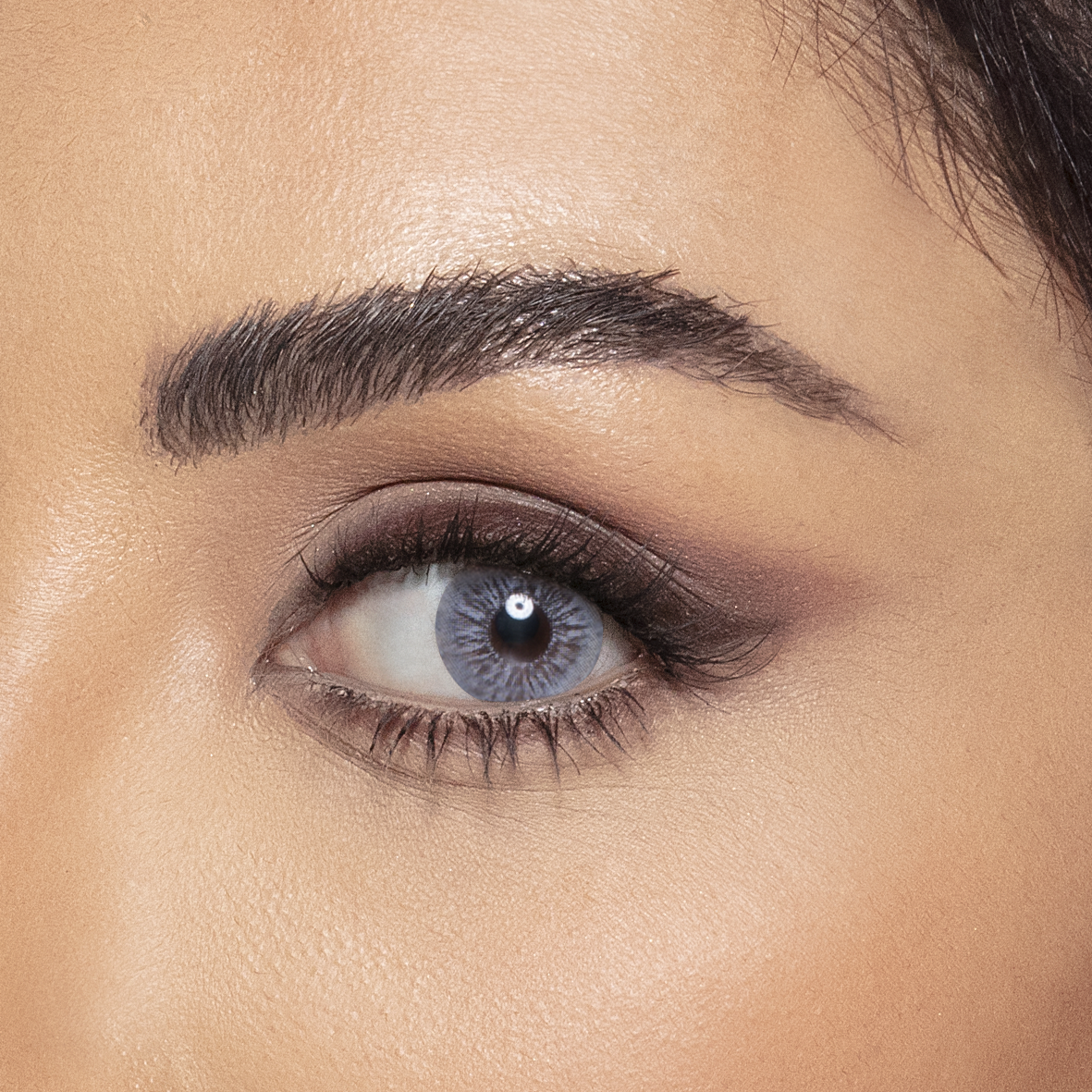 Amara Monthly Colored Contact Lenses - Ash Gray