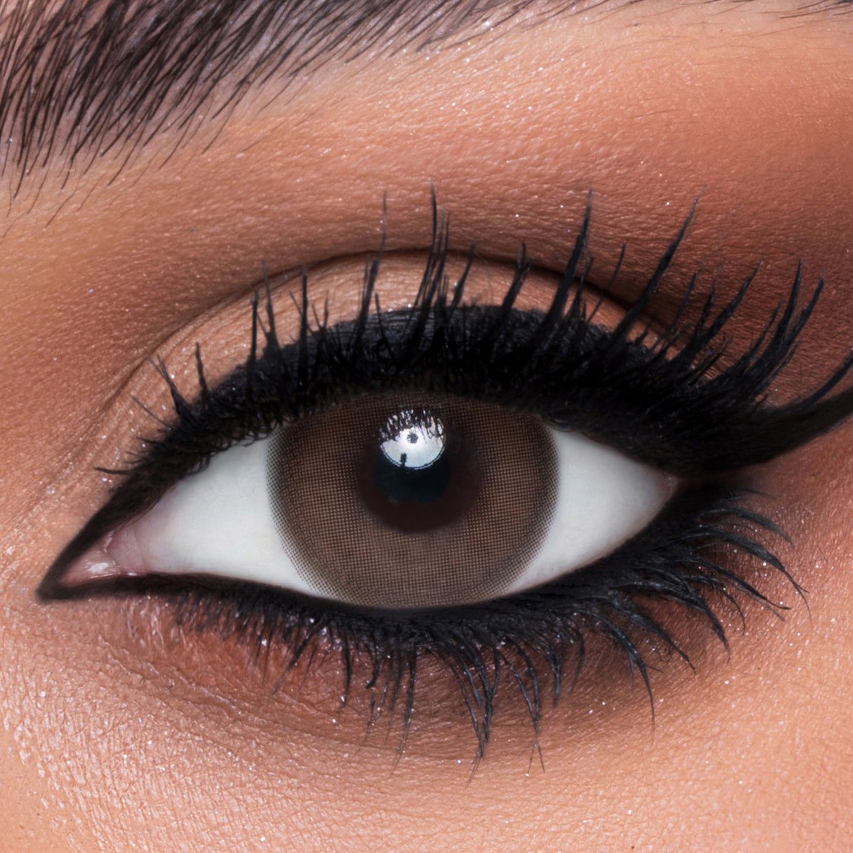 Lentilles de contact Flora - Collection mensuelle toutes couleurs