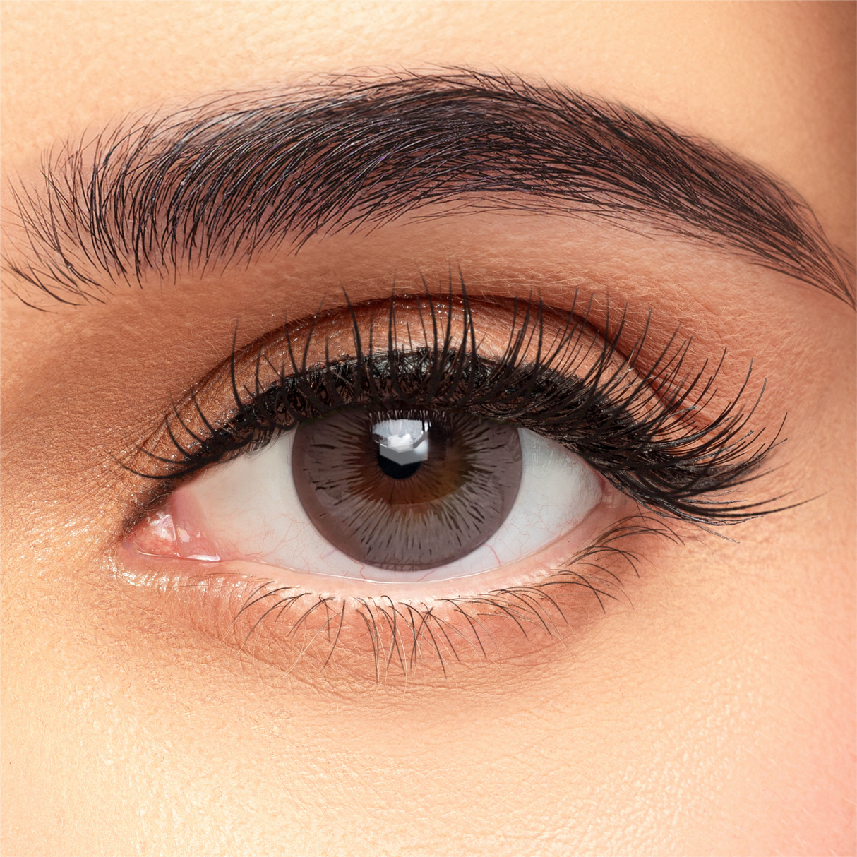 Define  Fresh  Daily Colored Contact Lenses - Pack of 10