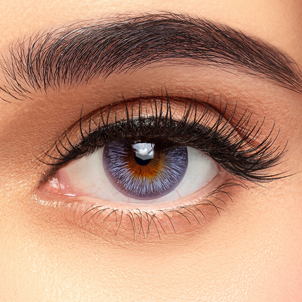 Define  Fresh  Daily Colored Contact Lenses - Pack of 10