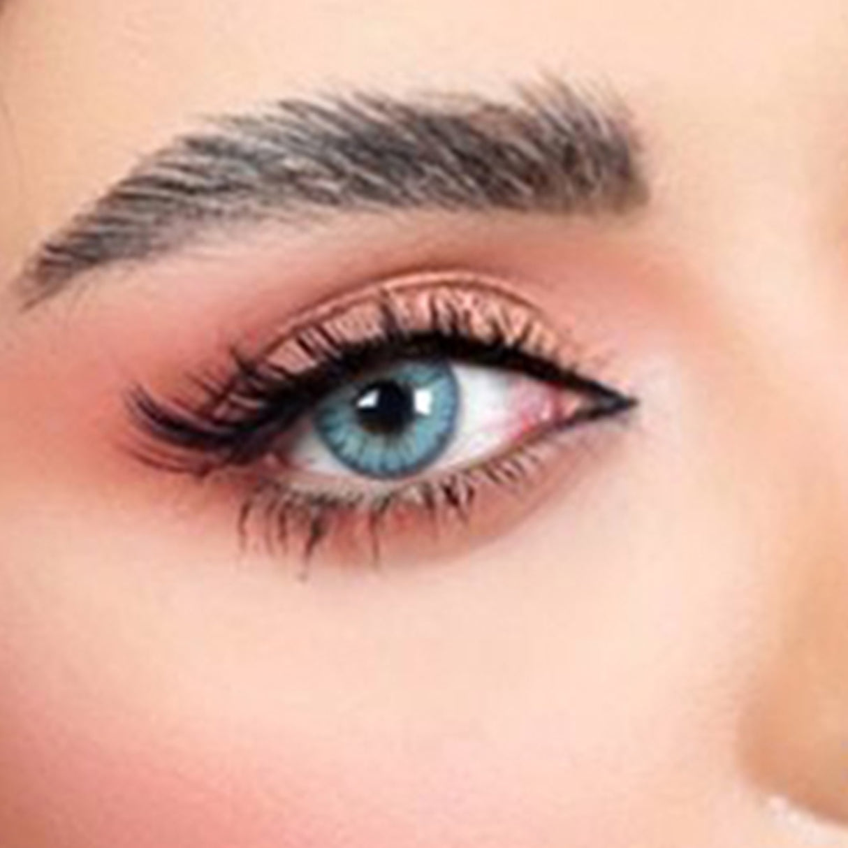 Lentilles de contact Flora - Collection mensuelle toutes couleurs