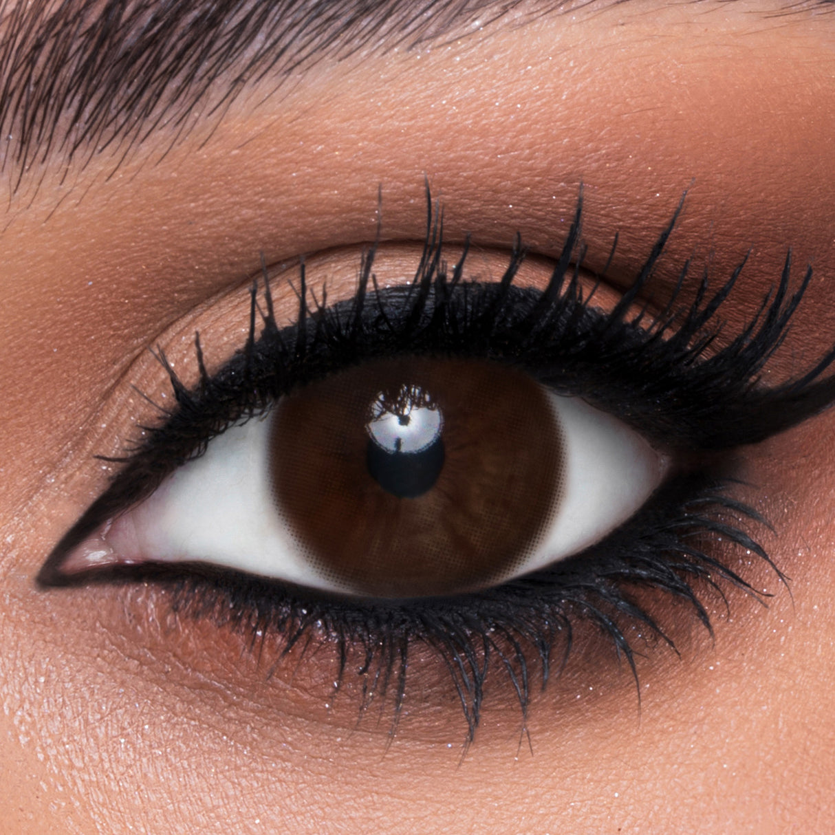 Lentilles de contact Flora - Collection mensuelle toutes couleurs