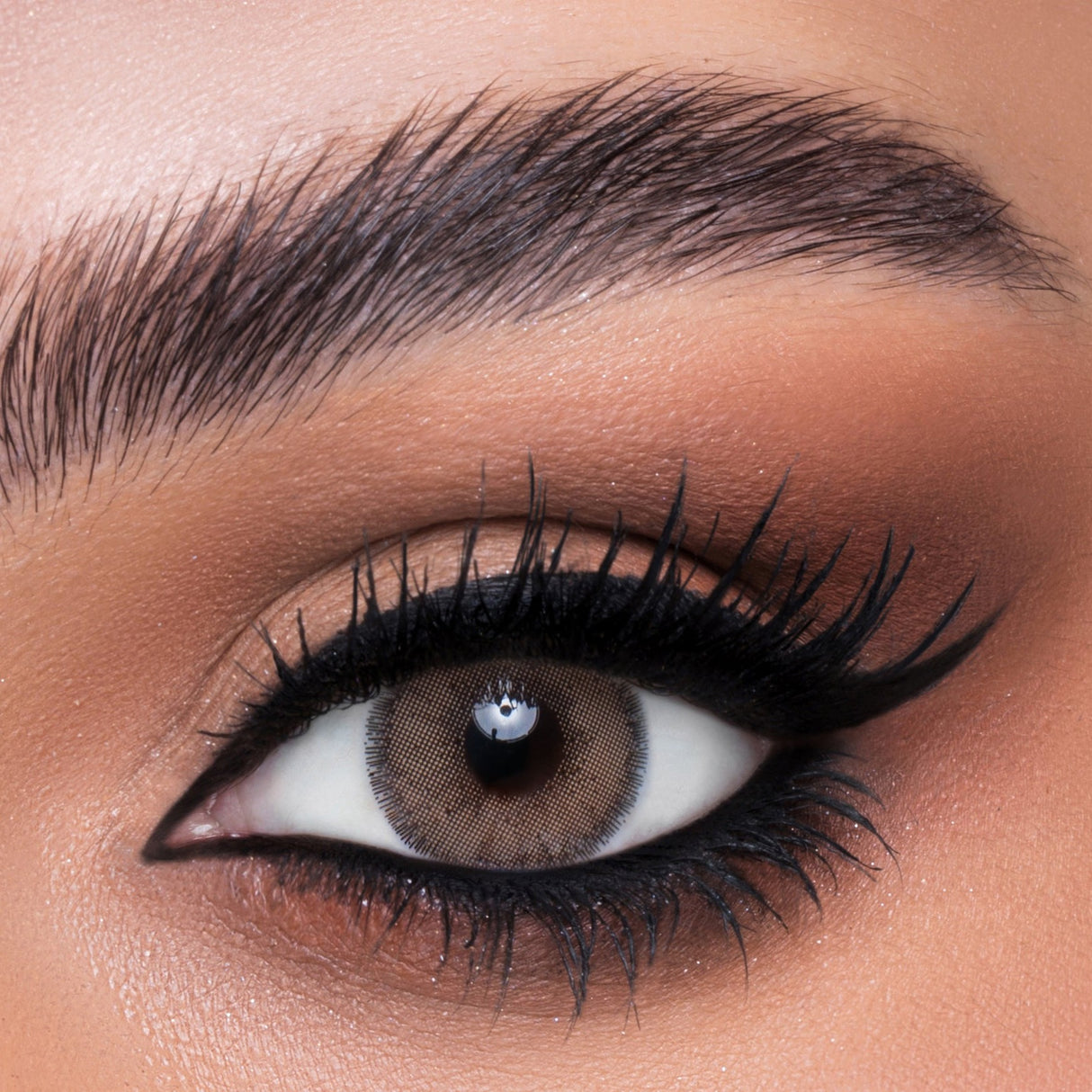 Flora Monthly Colored Contact Lenses - Pure Brown