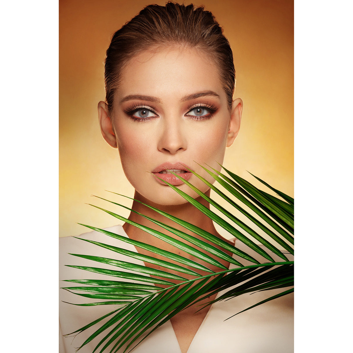 Diva Monthly Colored Contact Lenses - Navy