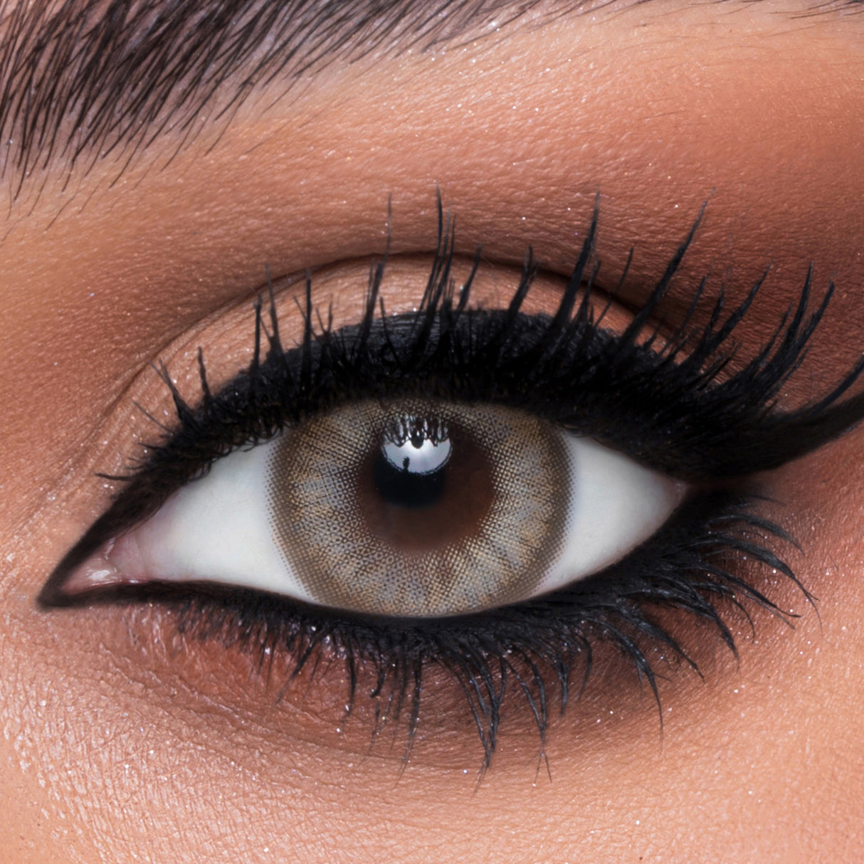 Lentilles de contact Flora - Collection mensuelle toutes couleurs