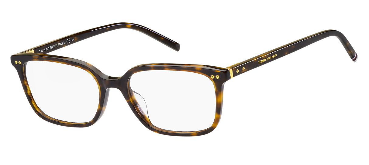 TOMMY HILFIGER TH1870/F