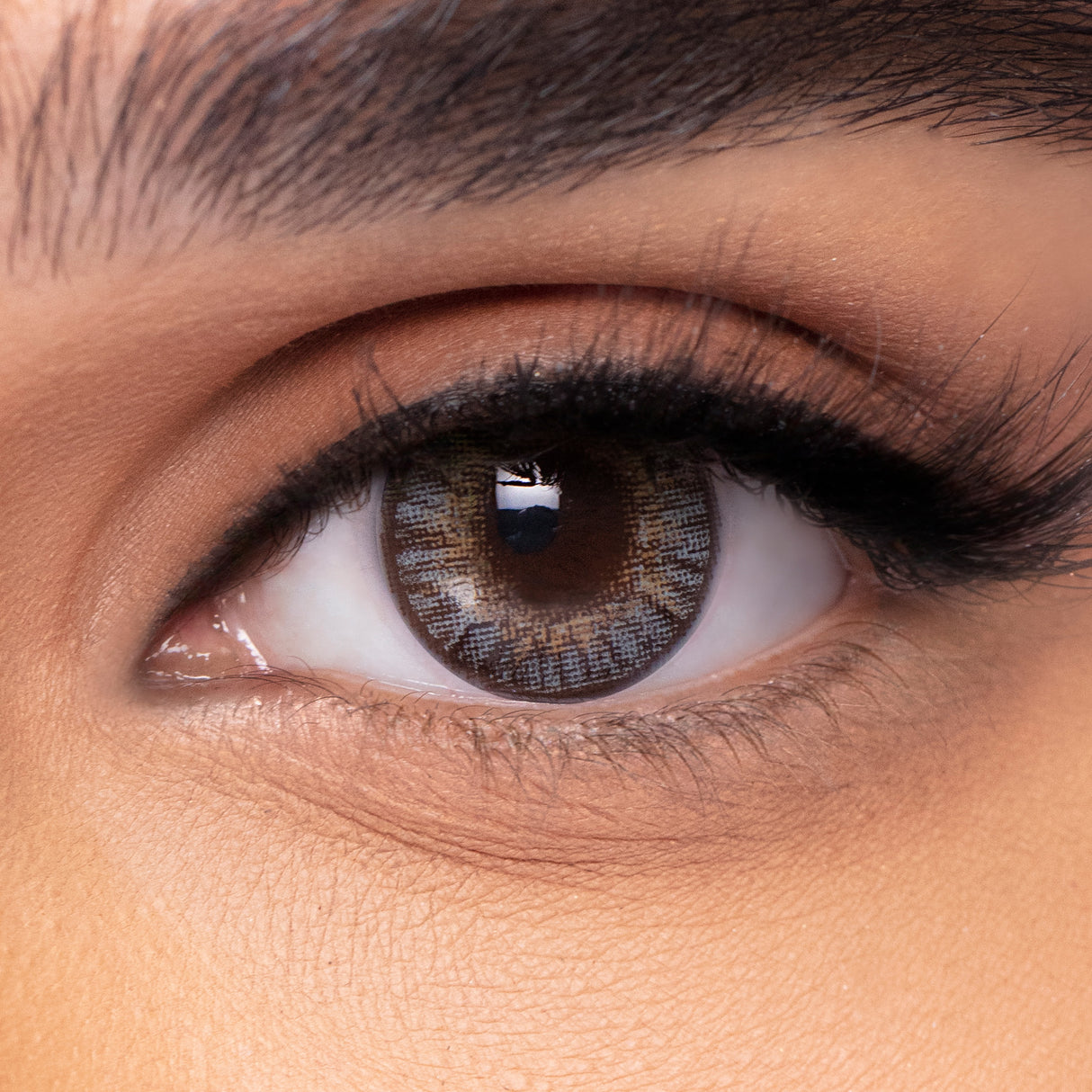 Freshlook One-Day Color Daily contact lenses - 10 Lenses per Box