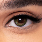 Freshlook Colorblends Monthly contact lenses - 2 Lenses Box